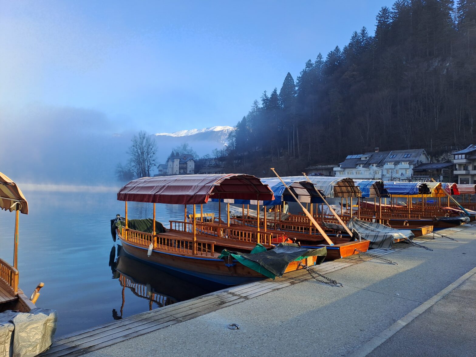 Decembrska pomlad na Voglu: Med ledom in poezijo drsenja